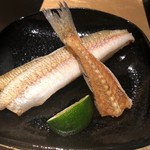 野嵯和 - キスの炙り