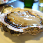 コリス - 島根の岩ガキ