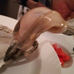地中海料理 エル クラシコ - 厚岸産の生牡蠣
