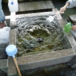 酒井亭 - 八幡神社横の自噴の湧水