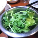 蜃気楼 - パクチー