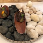 stesso e Magari CHIC - 2019/6