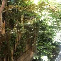 赤坂 津つ井 総本店 - 