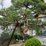 GOKKEI - 一乗寺の下り松