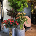 Nicolai Bergmann NOMU - 