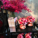 Nicolai Bergmann NOMU - 