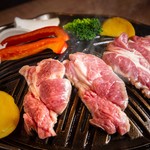 Hokkadousanhitsujiyasaifukusuke - こだわりのラム肉と道産野菜！