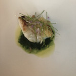 マダム・トキ - 