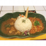 Spice curry 43 - 