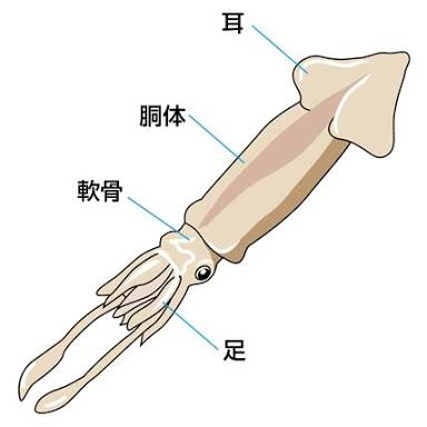 活真イカの踊り食い By Cochran 開陽亭 すすきの店 かいようてい すすきの 市営 魚介料理 海鮮料理 食べログ