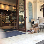 Urth Caffé - 