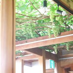 川端風太朗 - おーい　高枝切りバサミ持って来て(笑)