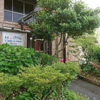 レスタジョーニ ハングリータイガー -  レスタジョーニ ハングリータイガー -