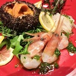 Trattoria Cicci Fantastico - 