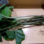 山の仙人 淳  - 天然のわさび