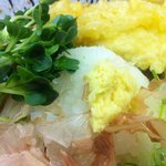 はんなりや - ささみ天おろしぶっかけ