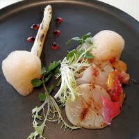 オチェーアノ - 