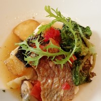 オチェーアノ - 