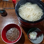 むすび むさし - 秘湯の釜揚げうどん540円