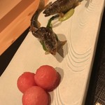 御料理 まつ山 - 