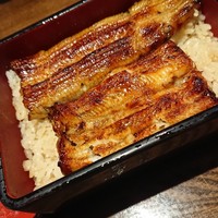 新宿 うなぎ菊川 - うな重！