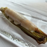 サーラ アマービレ - 