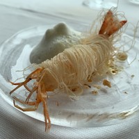 サーラ アマービレ - 