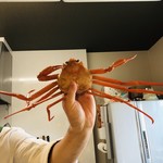 ナガタ店 - 紅ずわい蟹の徹くん