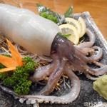 蔵元の酒と直送の魚 さかまる - 旬の烏賊一匹姿造り刺し