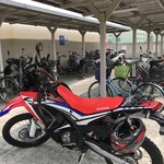 博多とんこつ 天神旗 - 