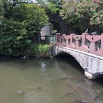 自家製麺 くろ松 - 