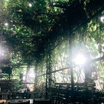 スマイル・ジャンキー 原宿ベース カフェ - 