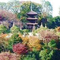 イル・テアトロ - 