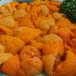 民宿 青塚食堂 - 生ウニ