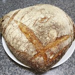 109969586 - パンドロデブ