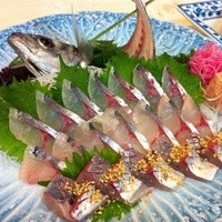 稚加榮 本店 - 黄金鯵