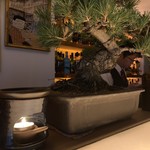 BAR Shinjuku Whisky Salon - 