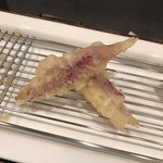 旬彩 天ぷら 心来(しんら） - 