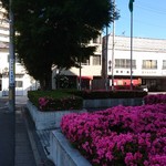 いなだ珈琲舎 - 駐車場からお店へ