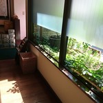 いなだ珈琲舎 - 陽光が射し込みます