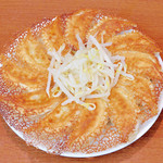 12 Hamamatsu Gyoza / Dumpling (round grilled)