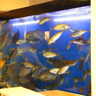 海鮮処 寿し常_0