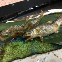 稚鮎塩焼き（１匹から）