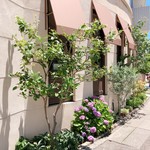 スイーツガーデン ユウジアジキ - 