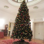 綱町三井倶楽部 - 2011クリスマスツリー