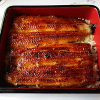 鰻割烹 伊豆栄 本店 - 