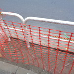 煮干し中華そば 一剣 - 根こそぎない！