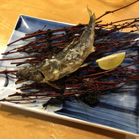 浅草じゅうろく - 