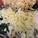 そばの神田 東一屋 - 揚げ玉ブチまけろ！  #BCMKR!