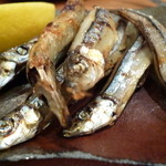 とん豚びょうし  - やっぱり大好ききびなご